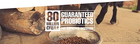 Pros of diamond naturals dog food. Diamond Pet Foods | Dog & Cat Food of Exceptional Quality