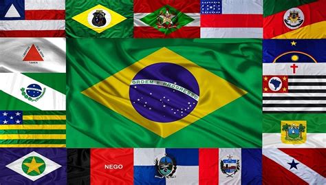 Bandeira Dos Estados Brasileiros Coloring City