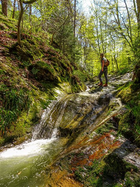 Hiking In The Belgian Ardennes 11 Most Beautiful Walks You Must Do