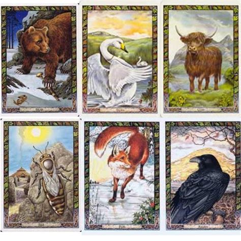 See more ideas about animal tarot cards, animal tarot, tarot. Oracle and Tarot Cards - THE DRUID ANIMAL ORACLE DECK