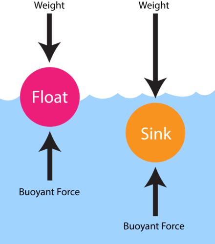 What Do You Mean By Buoyancy Understanding Why Objects Float Or Sink