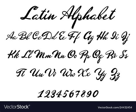 Latin Alphabet Classical Calligraphy And Lettering