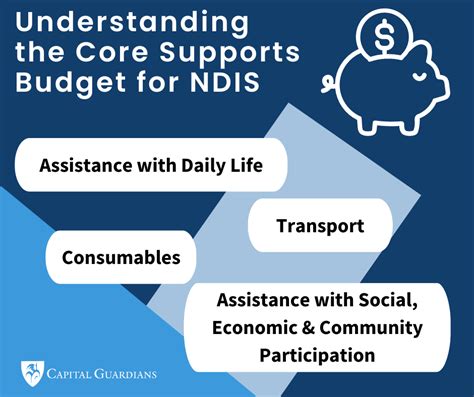 Ndis Plan Management Archives Capital Guardians