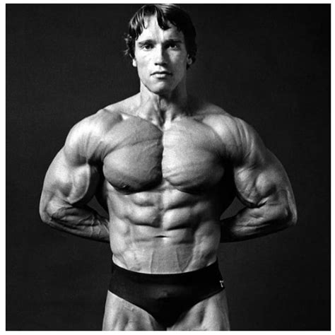 Arnold Schwarzenegger Bodybuilding Layer Stencil Set Ph
