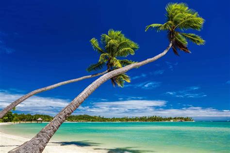 Diez Datos Interesantes Sobre Fiyi Travelingeast
