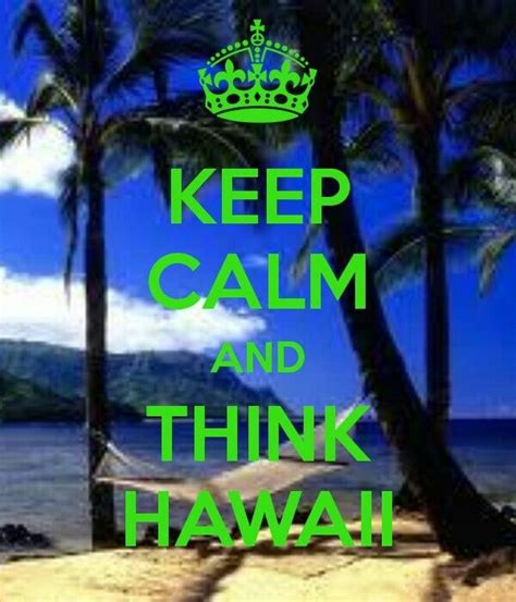 Trying My Hardest To Keep Calm Lol Hawaii Vacation Hawaii Travel