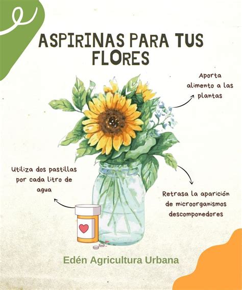 Aspirinas Para Tus Flores Book Cover