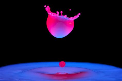 40 Amazing Examples Of Liquid Art Photography
