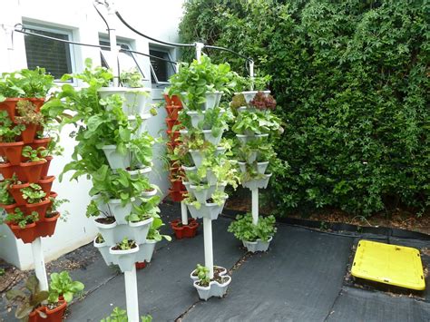 This basic hydroponic garden uses a tote bin as the base, with pvc pipe forming a spray manifold. 12 Relevant Information about Hydroponic Gardening