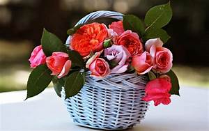 Basket, Beauty, Emotions, Flowers, Gardens, Life, Love