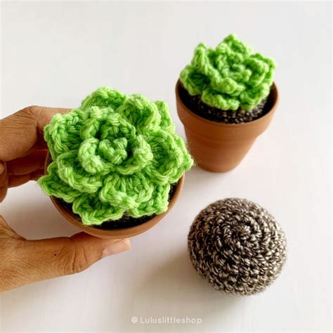 Crochet Pattern Pointy Leaf Succulents 2 Sizes With Free Etsy Denmark