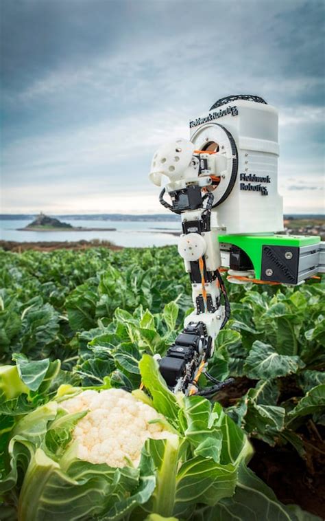 ‘robot Harvest Moves A Step Closer With Agritech Cornwall Abc Project