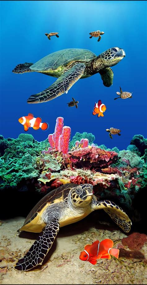 Protecting Wildlife Wonderplanetxcom Sea Turtle Art