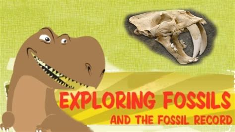 Exploring Fossil Records How Fossils Are Formed Interesting