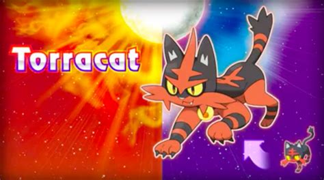 ‘pokémon Sun And Moon Update Introduces Dartrix Torracat And Brionne