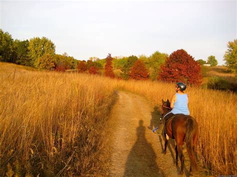 Afternoon Of Riding Trail On Horseback Minnesota Horseback Riding