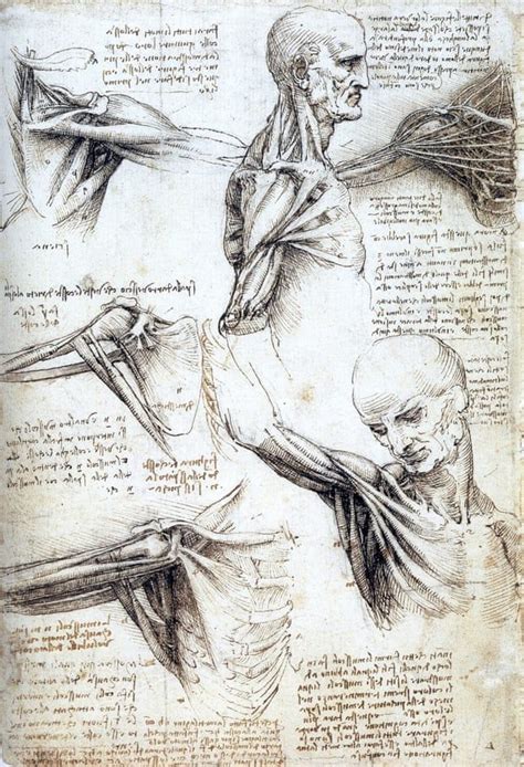 Italy To Lend Leonardo Da Vinci Works To France In A Masterpiece Swap Published 2019 Artofit