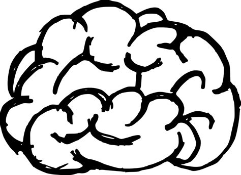 6 Brain Drawing PNG Transparent OnlyGFX