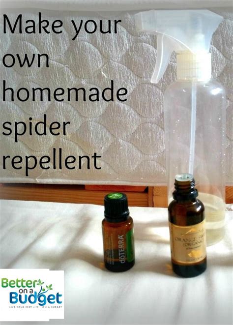 Make Your Own Homemade Spider Repellent Better On A Budget Spiders