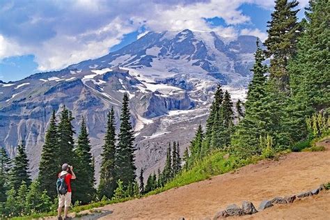 Mt Rainier Private Or Small Group Full Day Trip From Bellevue 2024