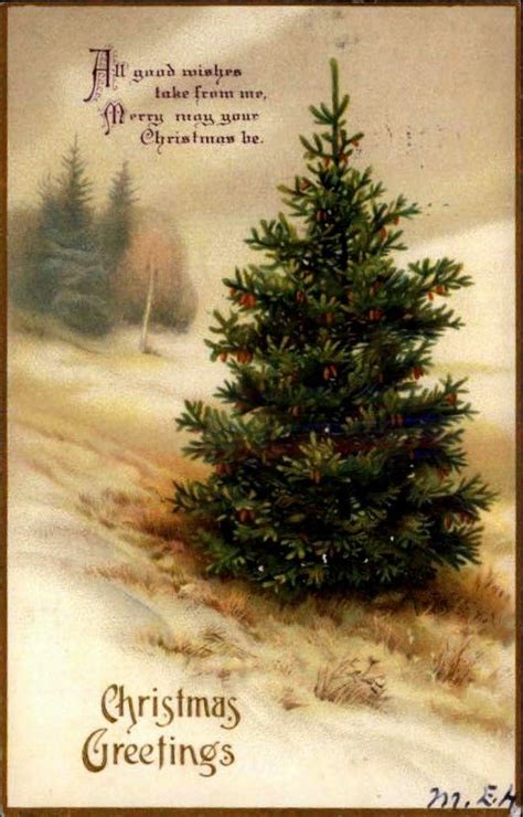 Old Postcard Featuring A Lovely Natural Christmas Tree Christmas Tree