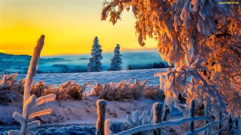 Tapety Zdjęcia Zima Pola Ośnieżone Zachód Słońca