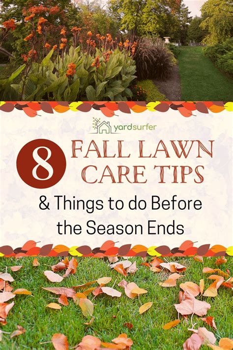 8 Fall Lawn Care Tips And Things To Do Before The Season Ends Fall