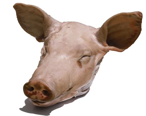 Tête de Porc, Vente Directe de Viande | La Louvrie