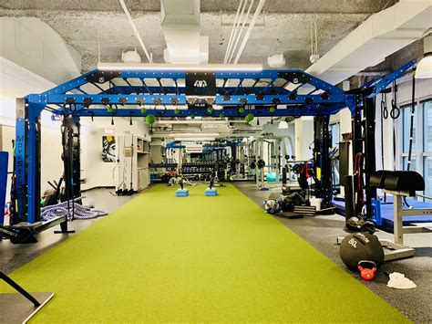 Company Gym Design For Functional Fitness | Gym design, Suspension