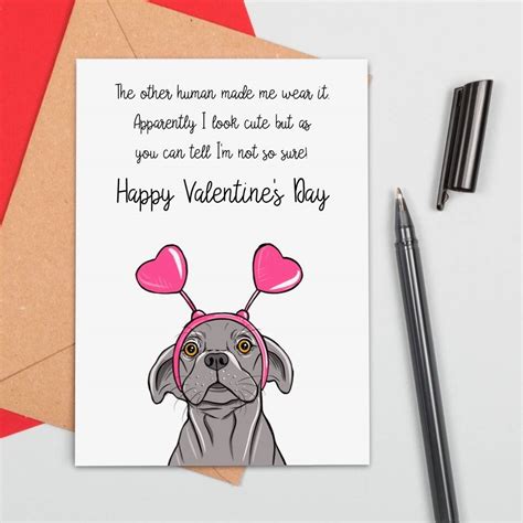 Funny Dog Valentines Card By Adam Regester Design