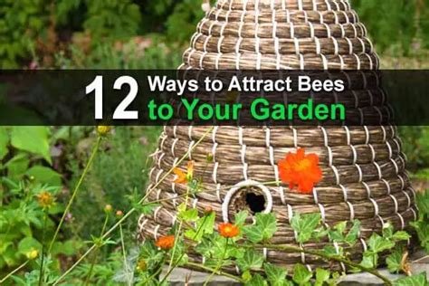 12 Ways To Attract Bees To Your Garden Homestead Survival Site