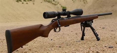 Best Scope For 17 Hmr Rifles 2024 Updated Review Scopes Reviews