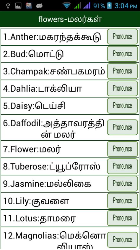 Basic English Words With Tamil Meaning Pdf Hutdlystorm