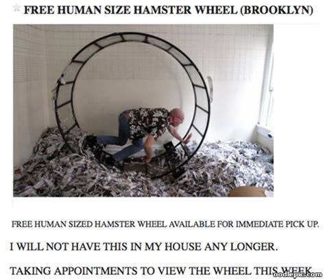 Get Your Very Own Human Sized Hamster Wheel 10 Of The Most Shared
