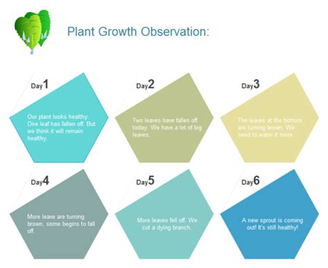 Plant Growth Observation Chart Examples Edraw