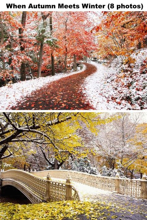 When Autumn Meets Winter 8 Photos My Street Inspiration Fall