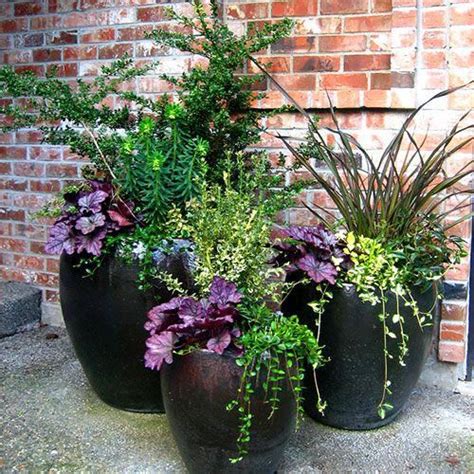 The general formula is thrillers, spillers, and fillers. in other words, combine a tall (thrilling) focal point plant with. container gardening ideas for privacy screens # ...