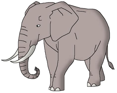 African Bush Elephant | Wildlife Animal Pedia Wiki | Fandom