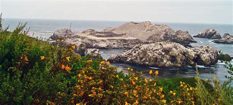 Excursion Privée Dune Journée à Monterey Et Carmel
