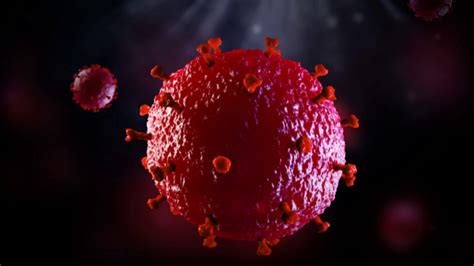 Virus Cells Under Microscope Motion Background Storyblocks