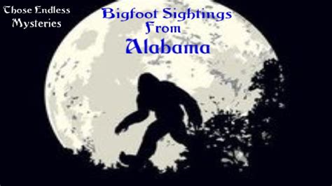 Bigfoot Sightings From Alabama Youtube