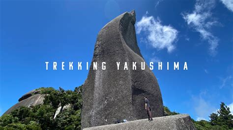 Trekking Yakushima In K Japan S UNESCO World Heritage YouTube