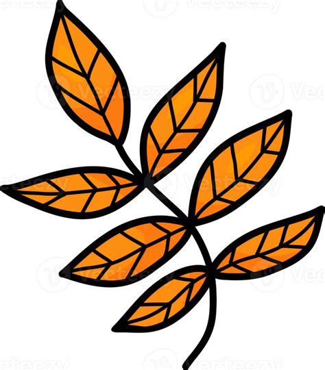 Autumn Branch With Yellow Leaves 27382141 Png