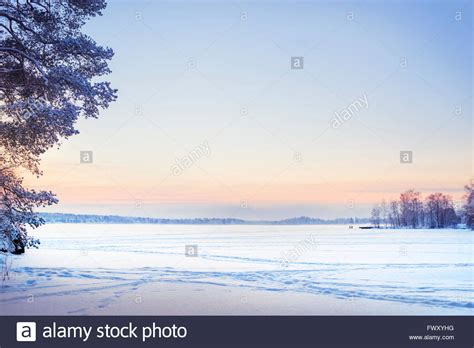 Finnland Pirkanmaa Tampere Winterlandschaft Mit Schnee Schlicht In