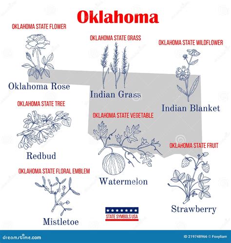 Oklahoma Set Of Usa Official State Symbols Stock Vector Illustration