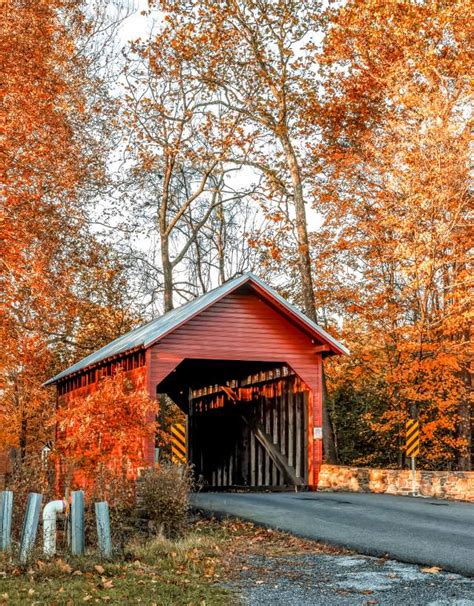 Covered Bridges And Fall Foliage Tour In Maryland Visit Frederick