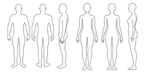 Human Body Outline Side Front Vector Images Over