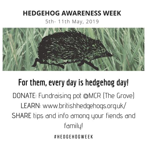 Hedgehog Awareness Week 2019 Fitzwilliam College Mcr