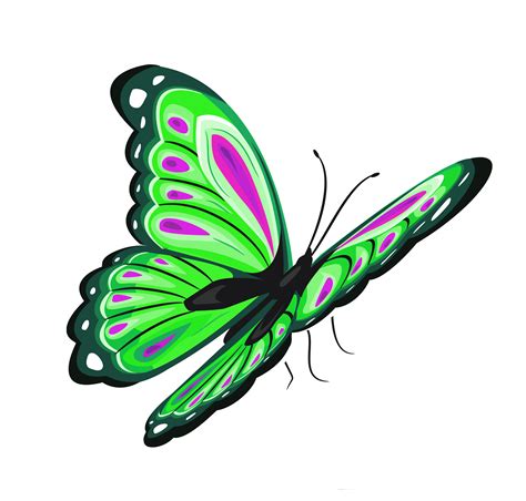 Flying Butterfly Clipart Clipart Best