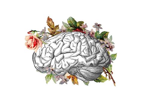 Brain With Flowers By Laineregen Redbubble